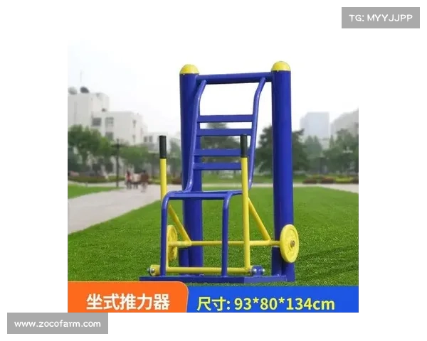 多功能户外健身器材带你体验全身锻炼的快乐与健康生活 多功能户外健身器材带你体验全身锻炼的快乐与健康生活